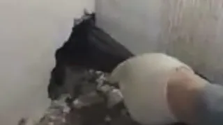 Вот это открытие: в доме на Табеева в стенах «замурованы» целлофановые пакеты