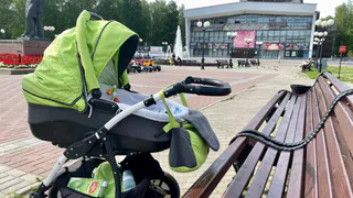 В Челябинской области запущен реестр злостных неплательщиков алиментов