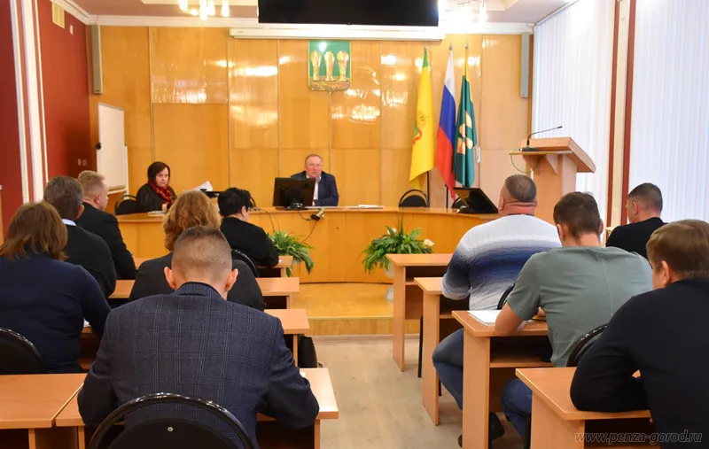 Более 50 новогодних елей будут установлены во всех районах города