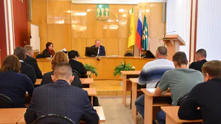 Более 50 новогодних елей будут установлены во всех районах города