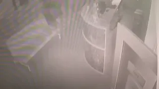 Пожар на Крупской: в сети появилось видео поджога рязанского медцентра