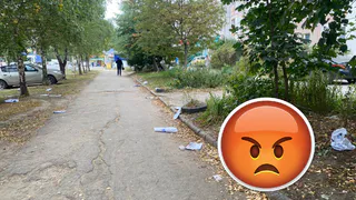 Хотел заступиться за Рязань, а в итоге замусорил: на улице Новоселов разбросали агитационные газеты