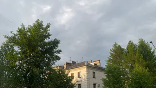 13 июня в Коми все будет умеренно: и тепло, и осадки