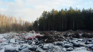 Рязанец заснял огромную свалку мусора в лесу в Солотче