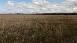 В Нижнекамске районе 65 крестьянско-фермерских хозяйств, 11 тыс. личных подсобных хозяйств