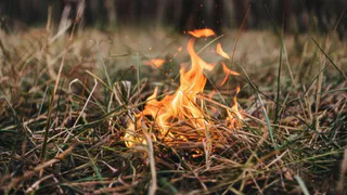 Во Владимирской области подвели итоги пожароопасного сезона 2025 года