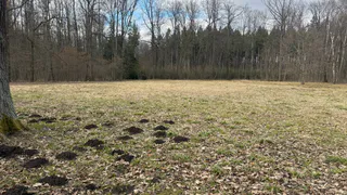 В Брянской области обсудили особенности посевной