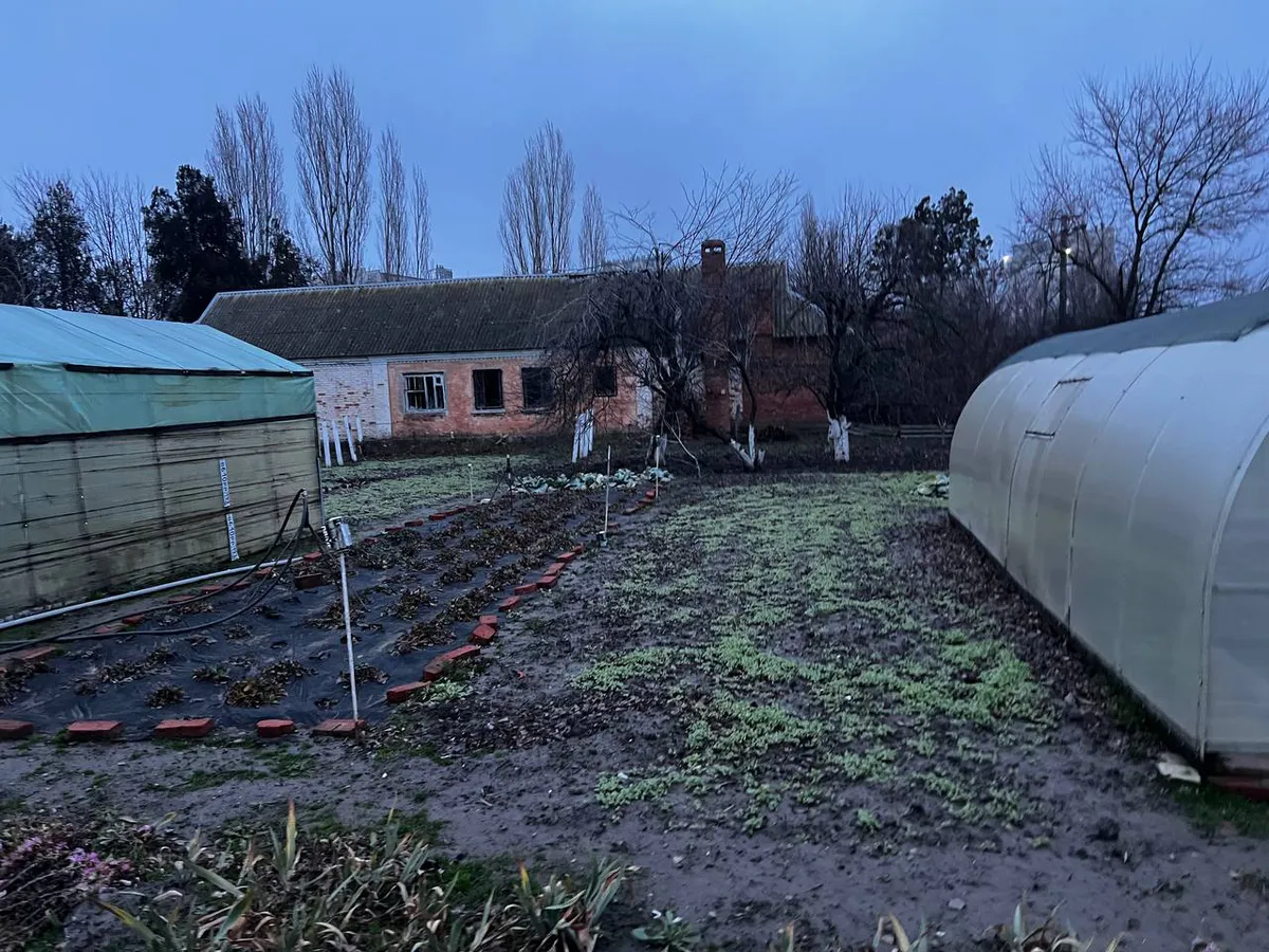 Россиян лишают второго хлеба: за посадку картофеля на участке будут беспощадно штрафовать