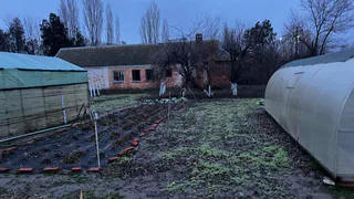 Россиян лишают второго хлеба: за посадку картофеля на участке будут беспощадно штрафовать