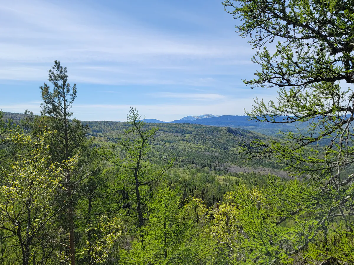 Прогноз погоды в Челябинской области: жара без осадков, но с неблагоприятными метеоусловиями