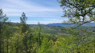 Холодные выходные в Челябинской области: синоптики предупреждают о заморозках
