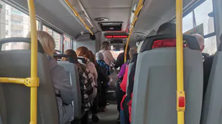 Гольдштейн отправит мэра столицы Коми проверять транспортную реформу лично