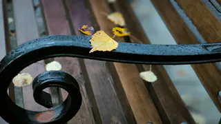 Прохладно и дождливо: прогноз погоды в Республике Коми на 21 сентября