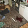 В Муроме женщина зарезала сожителя, который выгонял ее из дома
