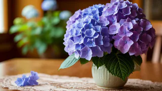 Закопала в горшке 2 шт. - и комнатные растения зацвели как бешеные: удобрения больше не нужны