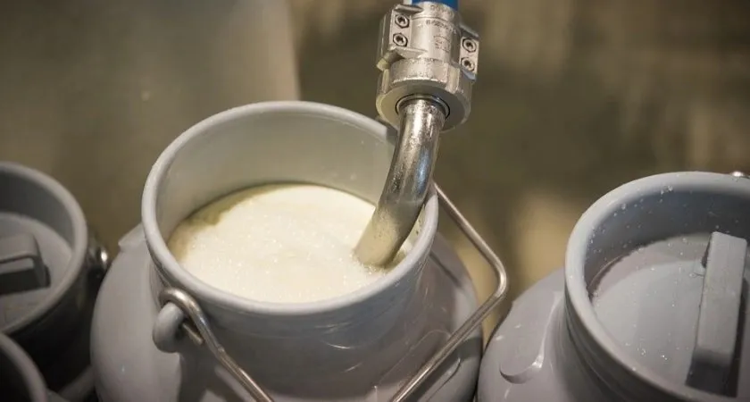 Крашеная мелом вода: Росконтроль назвал марки молока, которые лучше не брать даже даром