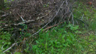 На улице Щорса проезжая часть превратилась в полосу препятствий