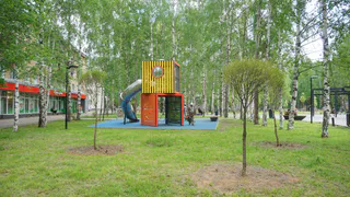 Сыктывкар озеленяется: в сквере появились сотни новых растений