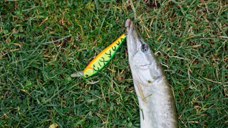 Рыбацкое состязание в магнитогорском "Притяжении": "Осенний клев" собрал любителей рыбной ловли