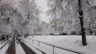 В Чувашии на 1 декабря синоптики спрогнозировали снег и потепление до +2 градусов