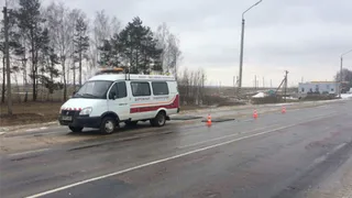 Движение большегрузов запретят на брянских дорогах на месяц