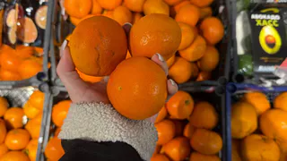 В Рязанской области с начала 2025 оштрафовали 2058 торговцев-нарушителей