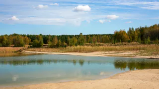 Новое Полково: живописные участки у озера в 20 километрах от Рязани