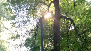 Тест уже пройден: в ЦКПиО заменили уличное освещение