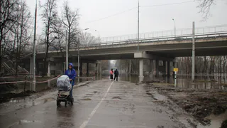 В этом году Ока выйдет из берегов сильнее обычного