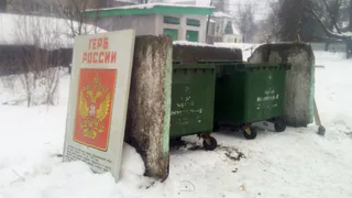 Символ в баке: во Владимирской области на помойку выкинули герб России