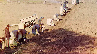 Цыгане обчистили путятинских крестьян