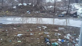 Рязанцы устроили свалку под окнами своего же дома