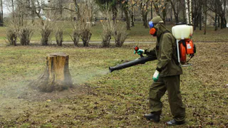 Клещи: Рязанский Роспотребнадзор дал рекомендации по защите