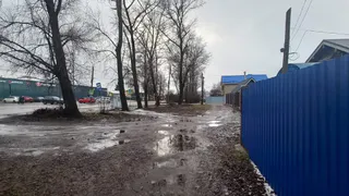 В Александровском районе проигнорировали просьбы местных жителей о строительстве тротуара