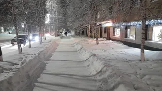 "В январе придет то, чего не было с 1881 года": синоптики назвали новый прогноз - середина зимы 2024-2025 войдет в историю