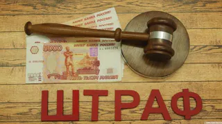 На Брянщине главу сельского поселения привлекли к административной ответственности