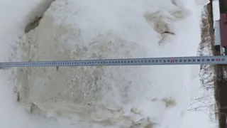 Навлинские чиновники устранились от расчистки дорог