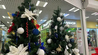 В Пензе с 10 декабря начнут работать первые елочные базары