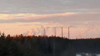 Чистая прибыль «Казаньоргсинтеза» за 2025 год упала в 1,7 раза при росте выпуска продукции