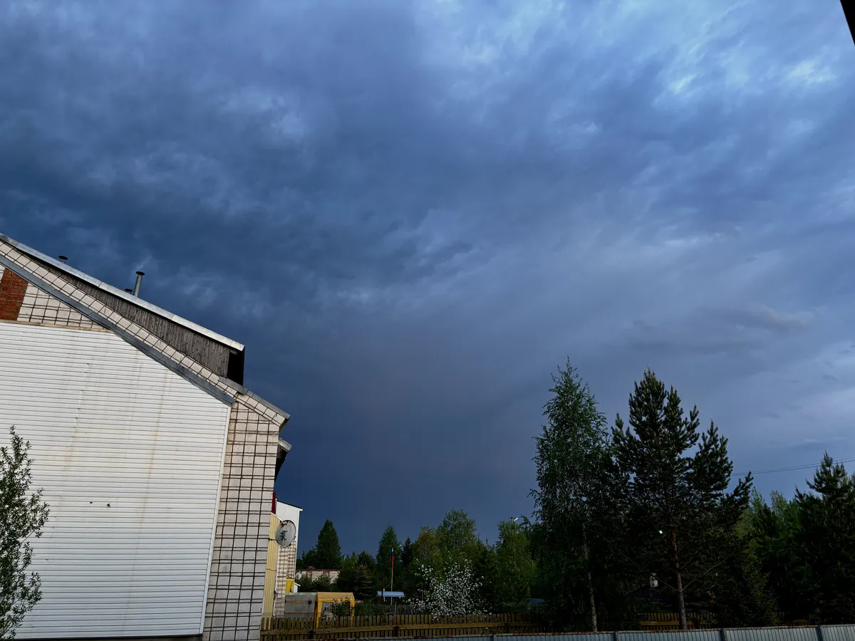В середине июня придет аномалия. Синоптики рассказали, что будет с погодой