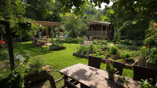 Королевский сад без замков: как сделать свой Петергоф в обычном дворе