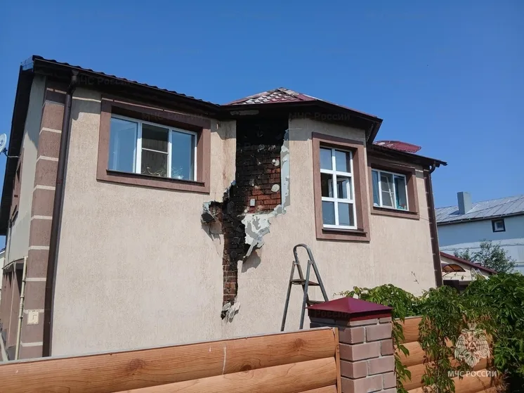 Житель Чебоксар устроил пожар и получил травму головы, пытаясь выжечь муравьёв огнём