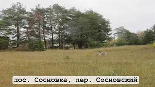 Участники СВО получат бесплатные земельные участки в Чувашии: новые возможности для ветеранов