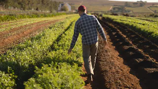 В рамках нацпроекта Татарстан получит почти 889 млн. рублей