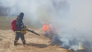 Во Владимирской области спасатели потушили два ландшафтных пожара