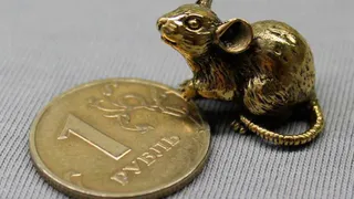 Что должно быть в кошельке для привлечения богатства