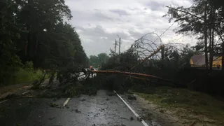 Обошлось без жертв: спасатели рассказали о последствиях урагана в Рязани