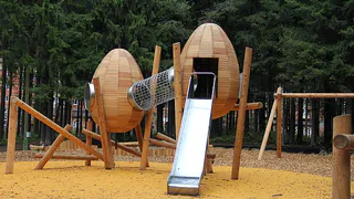 Беличий парк в Сыктывкаре уже совсем скоро будет открыт для посещения