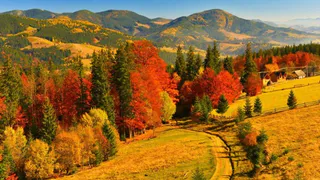 Жителей Брянской области 2 сентября ожидает температура до +18 градусов