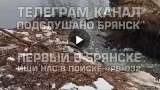 Брянская прокуратура проводит проверку о сливе нечистот в Десну